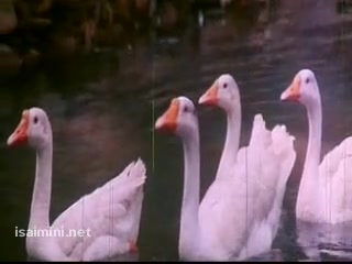 Muthumani Muthumani - Adharmam.mp4