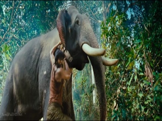 Sollitaley Ava Kaadhala - Kumki 1080p HD.mp4