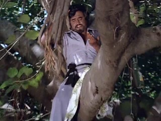 Naan Thaanda - Thanikattu Raja Smart HD.mp4