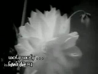 Malare Malare Theriyatha - Then Nilavu (1960).3gp