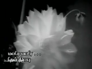 Malare Malare Theriyatha - Then Nilavu (1960).mp4